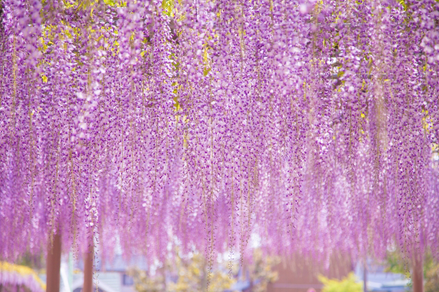 介護老人保健施設 千寿中間｜2024.04.25 令和6年4月25日…